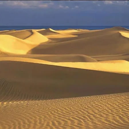 Playmar